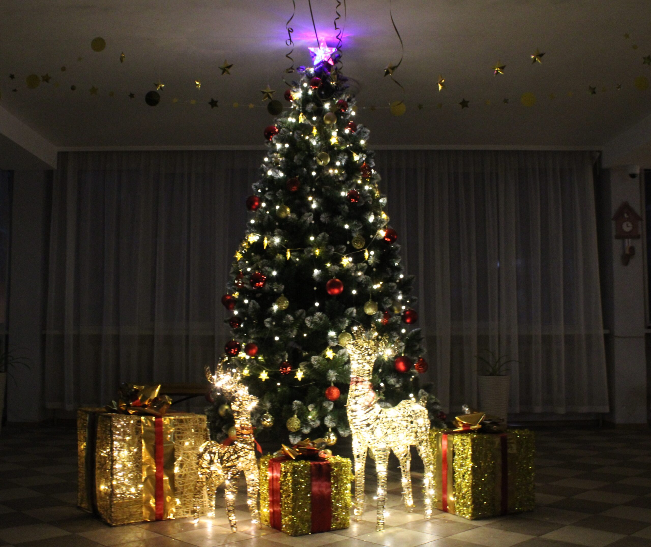 НОВОГОДНЕЕ ВОЛШЕБСТВО В СТЕНАХ КОЛЛЕДЖА: НОЧНАЯ СКАЗКА