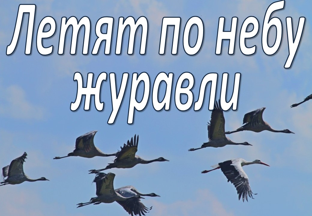 Летят по небу журавли